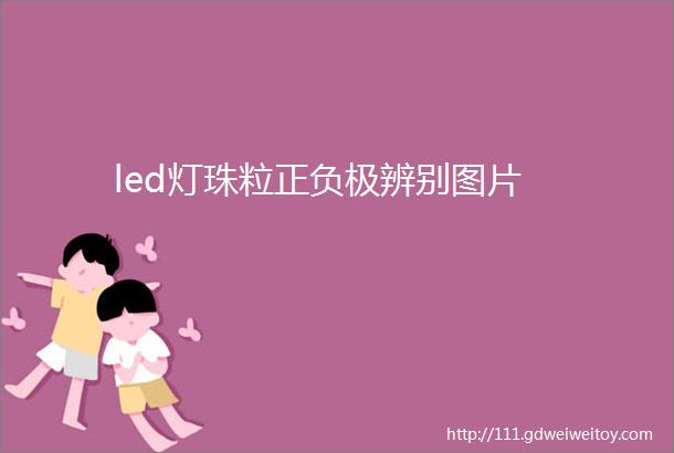 led灯珠粒正负极辨别图片