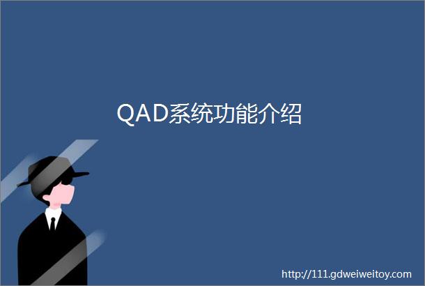 QAD系统功能介绍
